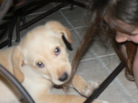 Oh l� l�, ma fille ! il va falloir attacher tes cheveux !