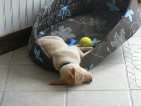 Enfin, le b�b� dort !