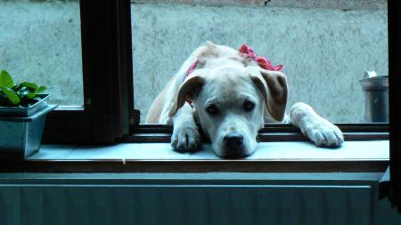 PETIT CLIN D'OEIL SUR MA LOLO QUI GRANDIT