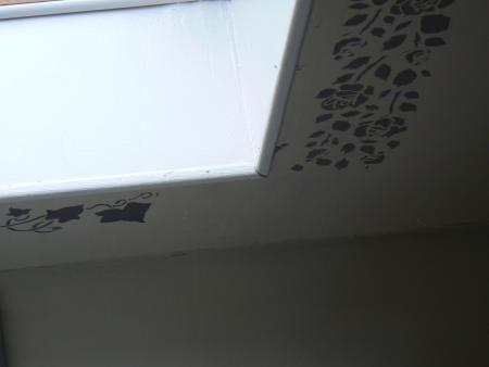 Lierre et roses autour du velux