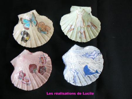 LES COQUILLES DE LUCILE