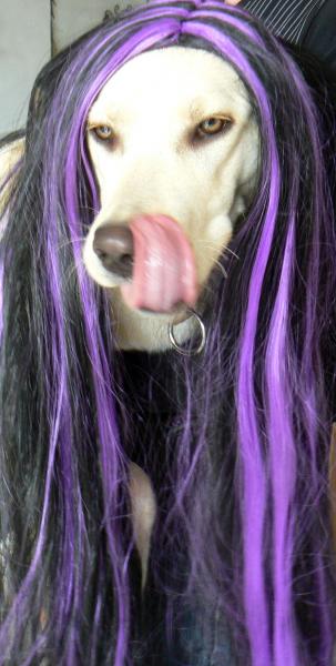 SEANCE D'ESSAYAGE POUR LOLO