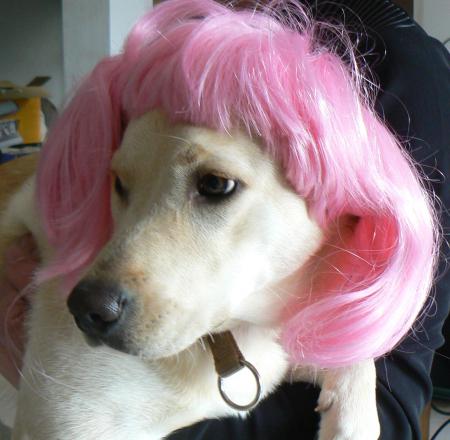 SEANCE D'ESSAYAGE POUR LOLO