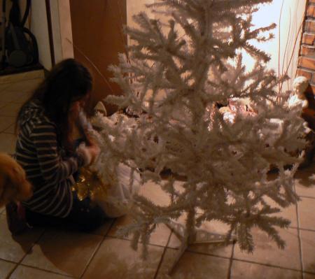 SAPIN DE NOEL